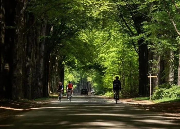 Happy Campers Alpstuga *